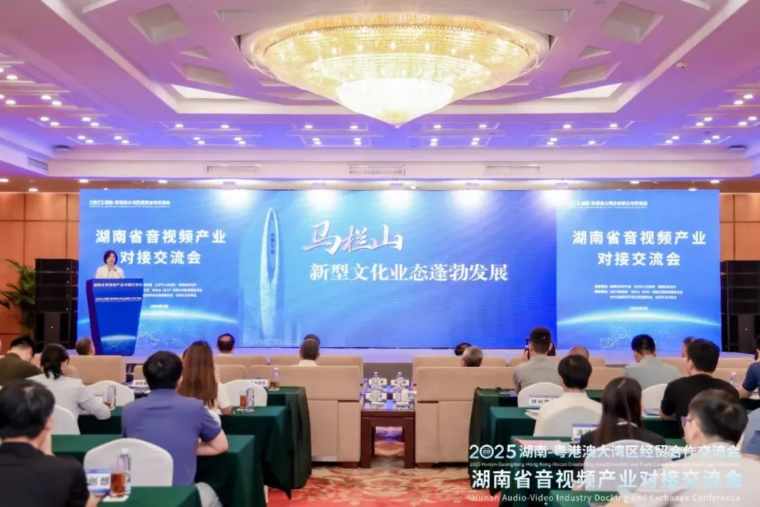 湘粤港携手共谱音视频产业新华章——湖南省音视频产业对接交流会在深圳成功举办