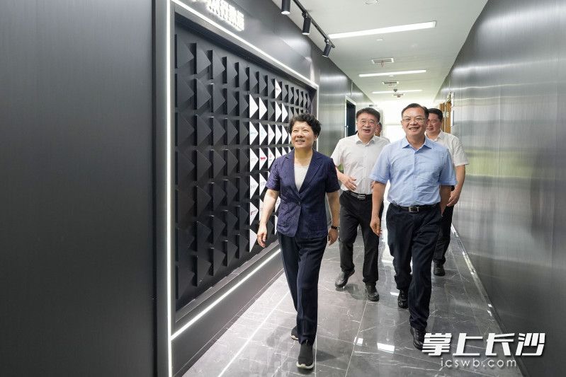 吴桂英调研马栏山视频文创产业园